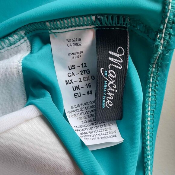 Maxine Turquoise 1 piece Bathing Suit - Picture 5 of 9